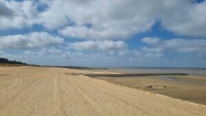 Der Sahlenburger Strand